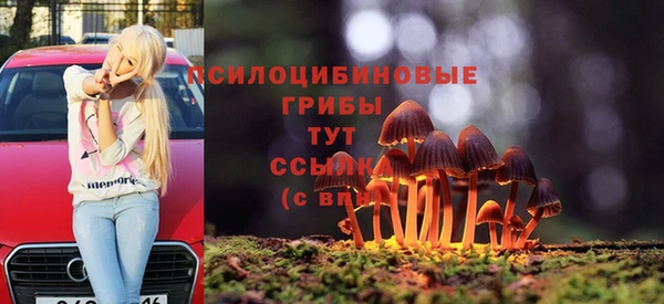 гашик Балабаново